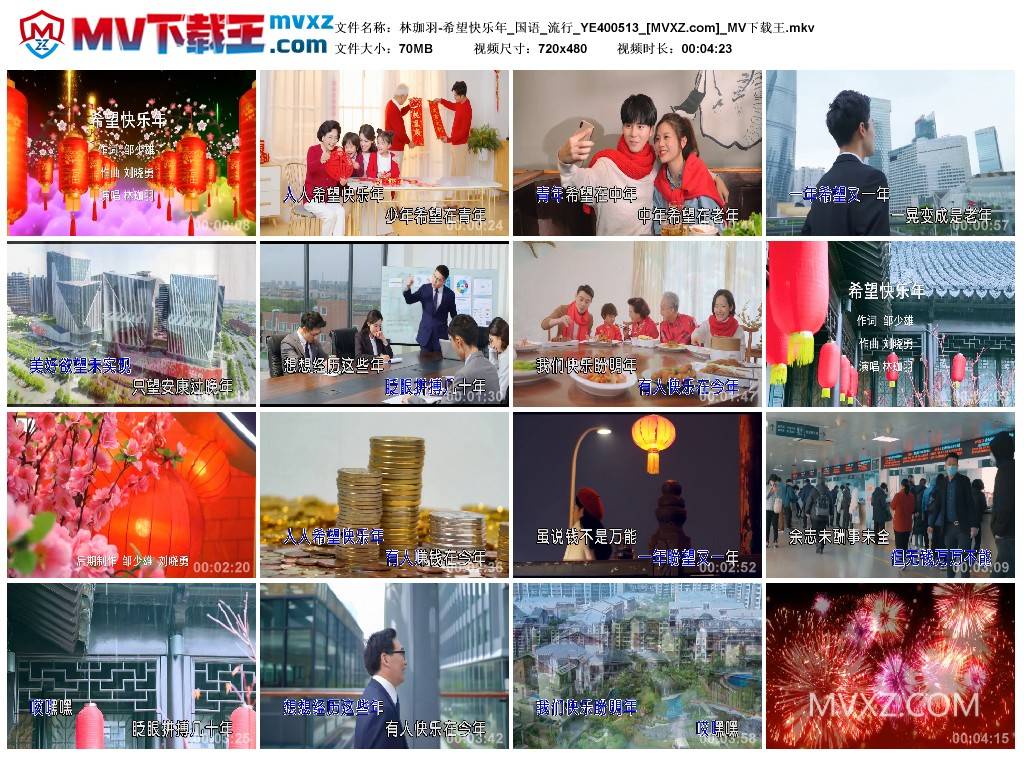 林珈羽-希望快乐年_国语_流行_YE400513